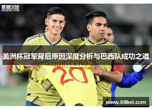 美洲杯冠军背后原因深度分析与巴西队成功之道